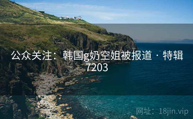 公众关注：韩国g奶空姐被报道 · 特辑7203