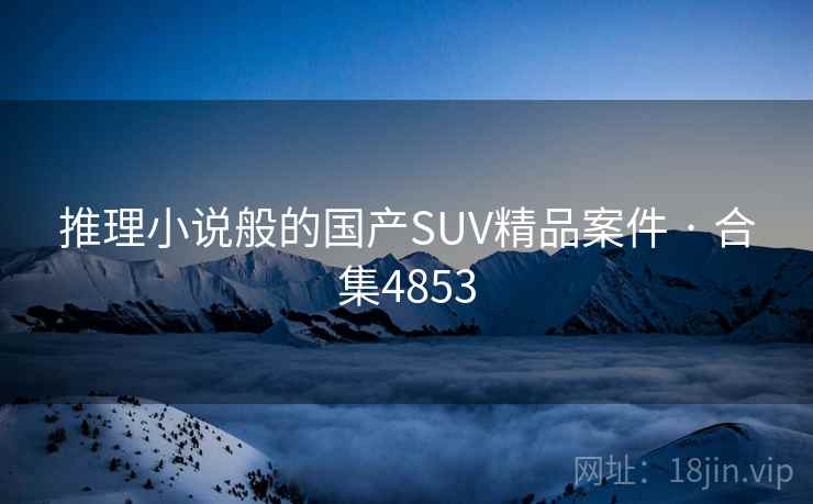 推理小说般的国产SUV精品案件 · 合集4853 推理小说般的国产SUV精品案件 · 合集4853
